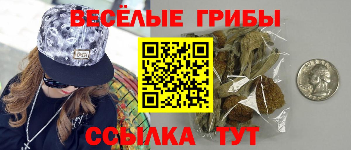 Тутаев  Галлюциногенные грибы Cubensis  Вход с VPN 