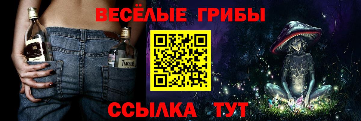 Псилоцибиновые грибы Psilocybine cubensis Тутаев